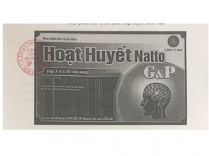 hoat huyet gp 300x224 1 1