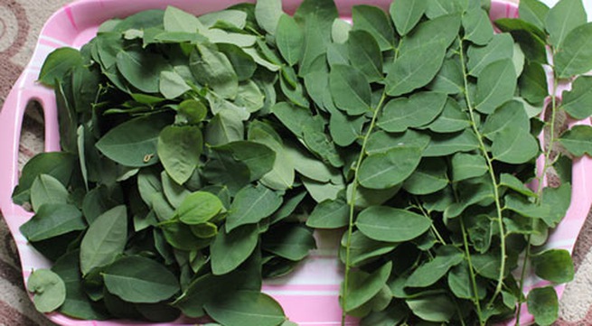 thuc pham loi sua 15