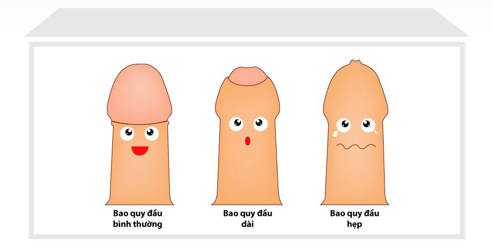 Phân biệt dài bao quy đầu