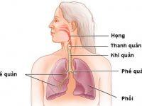 hinh 200x150 1