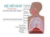 hinh2 200x150 1
