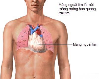 mang-ngoai-tim_1402471189