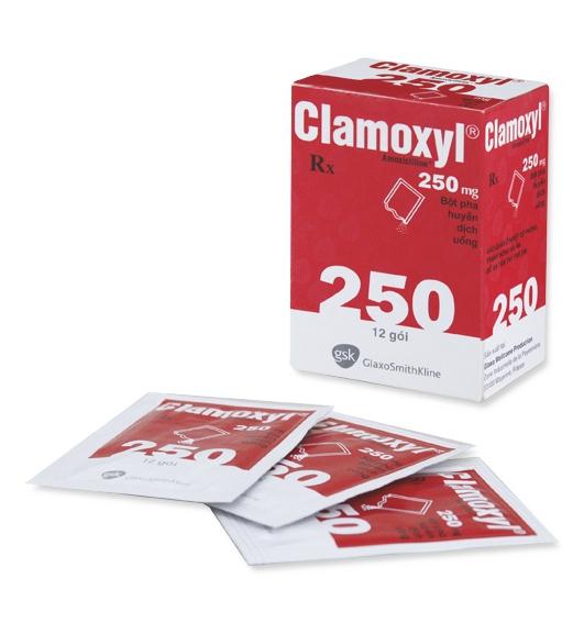 Clamoxyl powd for oral susp 250 mg6002PPS0
