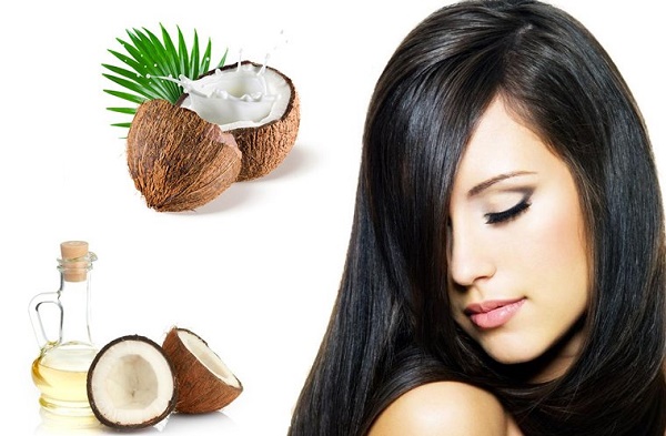 Cách chữa tóc bạc sớm bằng dầu dừa đơn giản tại nhà