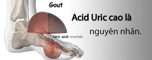 1 thuc don cho nguoi benh gout 3
