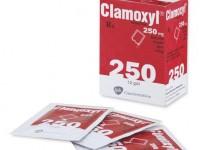 Clamoxyl powd for oral susp 250 mg6002PPS0 200x150 1