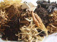 nhung cay thuoc nam 200x150 1
