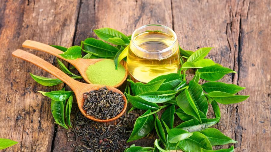 6 loại trà làm chậm lão hóa